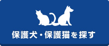 保護犬・保護猫を探す