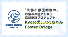 Kyoto犬(ワン)ちゃんFoster Bridge
