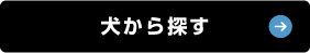 いぬ一覧はこちら