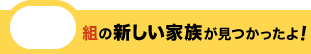 新しい家族が見つかったよ