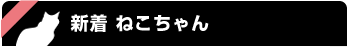 新着 ねこちゃん