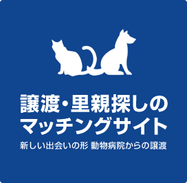 譲渡・里親探しのマッチングサイト 新しい出会いの形 動物病院からの譲渡