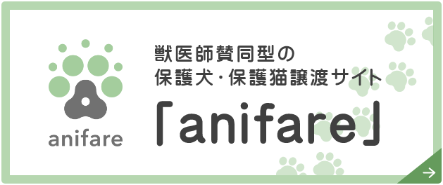 獣医師賛同型の保護犬・保護猫譲渡サイト「anifare」