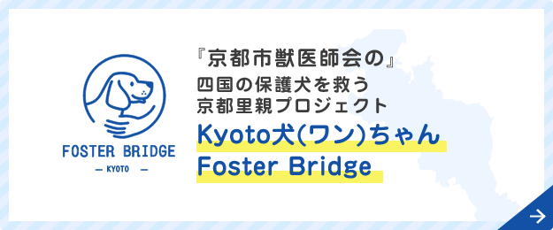 Kyoto犬(ワン)ちゃんFoster Bridge