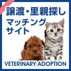 保護犬、保護猫の譲渡 里親マッチングサイト Veterinary Adoption