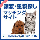 ی쌢AیL̏n e}b`OTCg Veterinary Adopt         ion