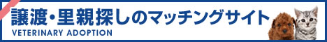 保護犬、保護猫の譲渡 里親マッチングサイト Veterinary Adoption