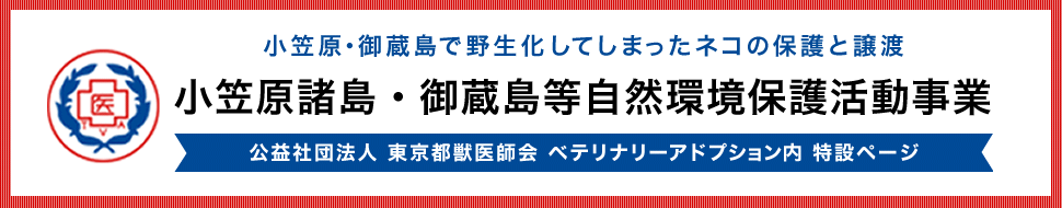 小笠原で野生化してしまったネコの保護と譲渡 　小笠原諸島・御蔵島等自然環境保護活動事業 公益社団法人 東京都獣医師会 ベテリナリーアドプション内 特設ページ