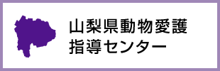 県北保健福祉事務所